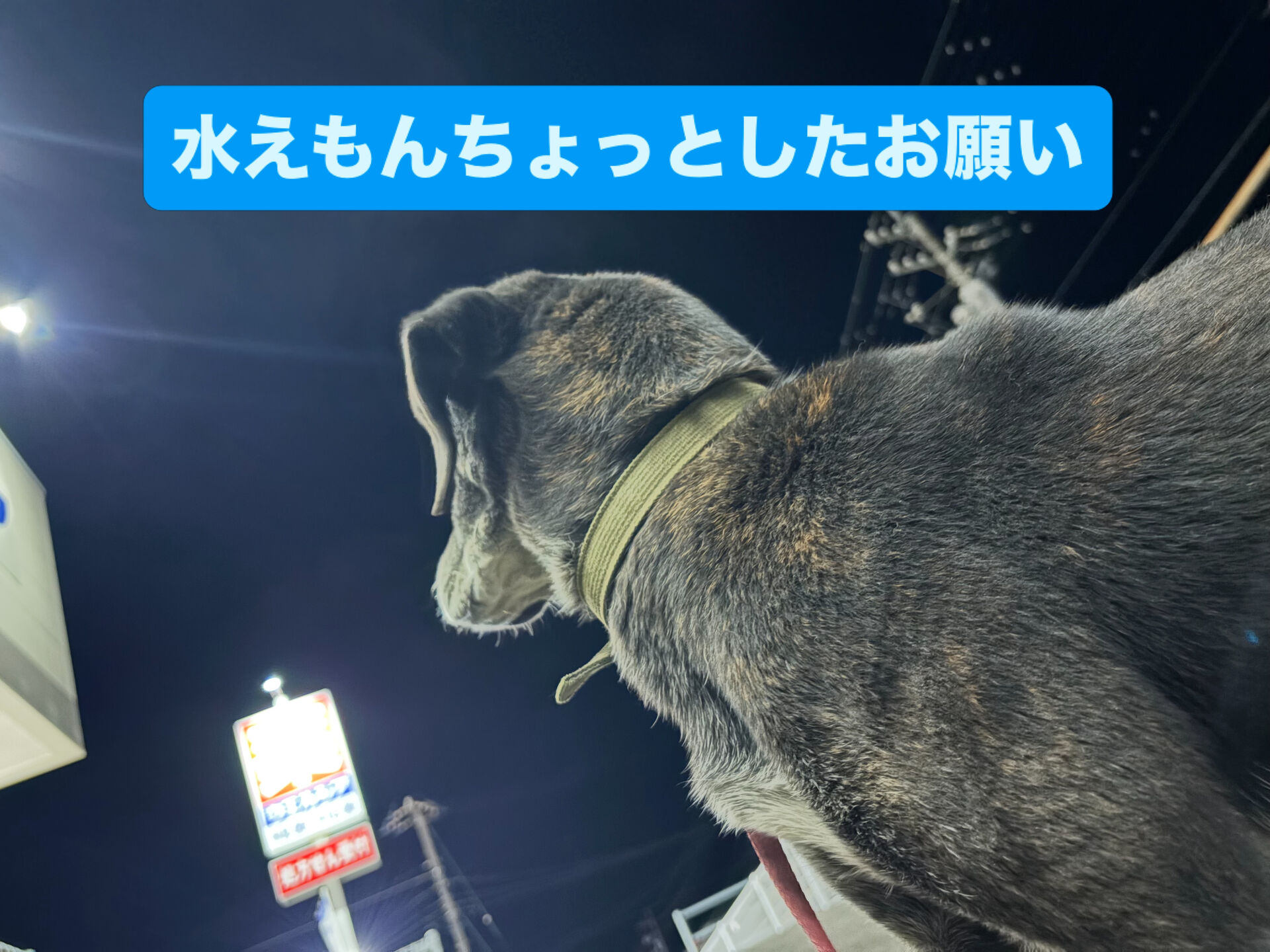 【見積もり無料なんですけどね…😂】